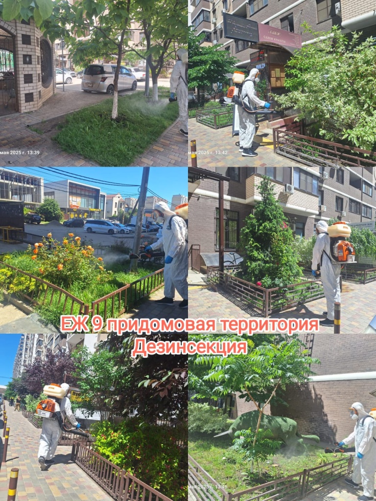 220525_ЕЖ9 придомовая дезинсекция.jpg 220525_ЕЖ9 придомовая дезинсекция.jpg