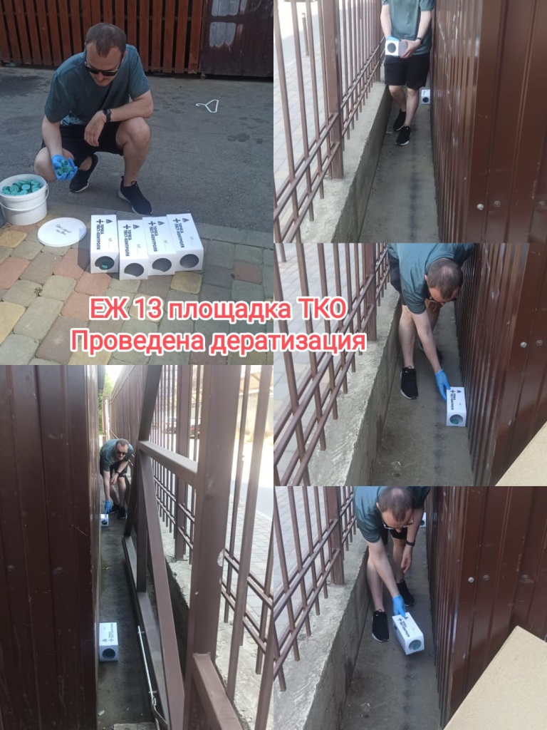 100625_ЕЖ13_дератизация.jpg 100625_ЕЖ13_дератизация.jpg