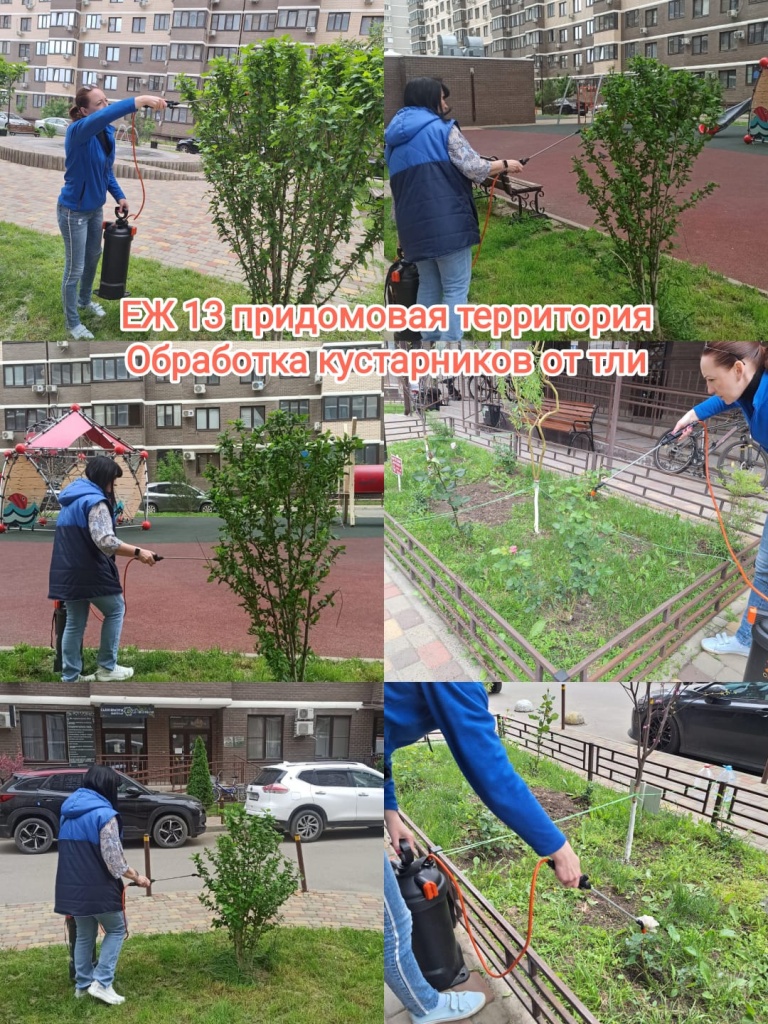 150525_ЕЖ13_придомовая.jpg 150525_ЕЖ13_придомовая.jpg