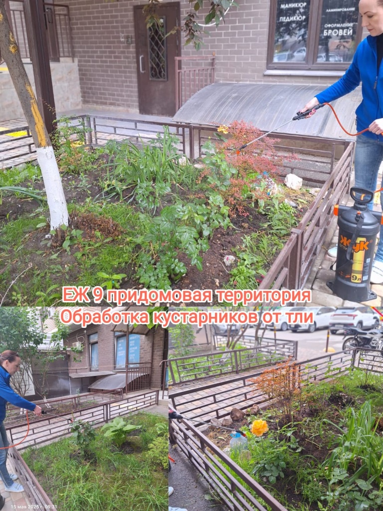 150525_ЕЖ9_придомовая.jpg 150525_ЕЖ9_придомовая.jpg