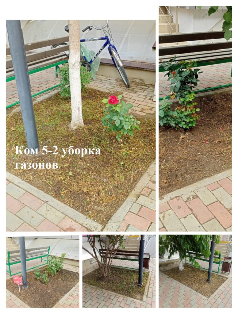 2025.06.17 - 5-2 уборка газонов.jpeg 2025.06.17 - 5-2 уборка газонов.jpeg
