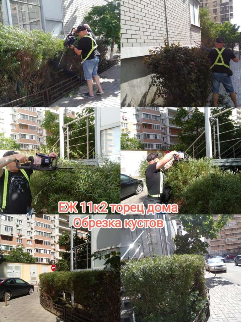 250625_ЕЖ11-2_торец_обрезка кустов.jpg 250625_ЕЖ11-2_торец_обрезка кустов.jpg