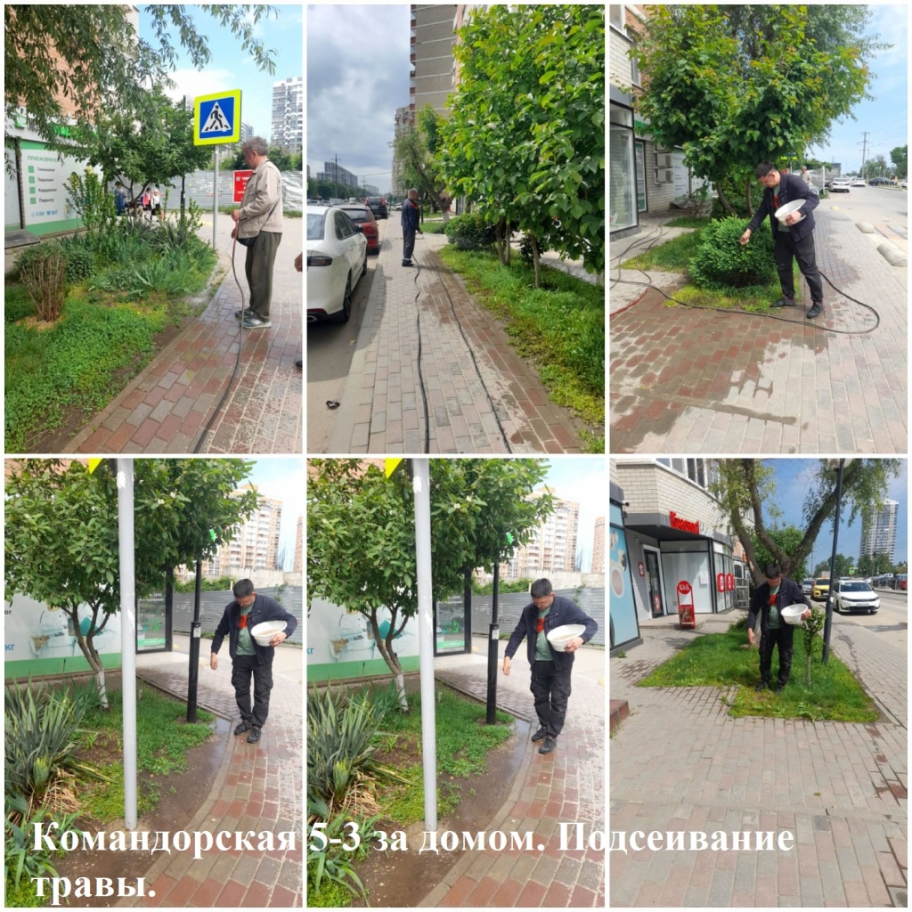 Командорская 5-3 за домом. Просеивание травы..jpeg Командорская 5-3 за домом. Просеивание травы..jpeg