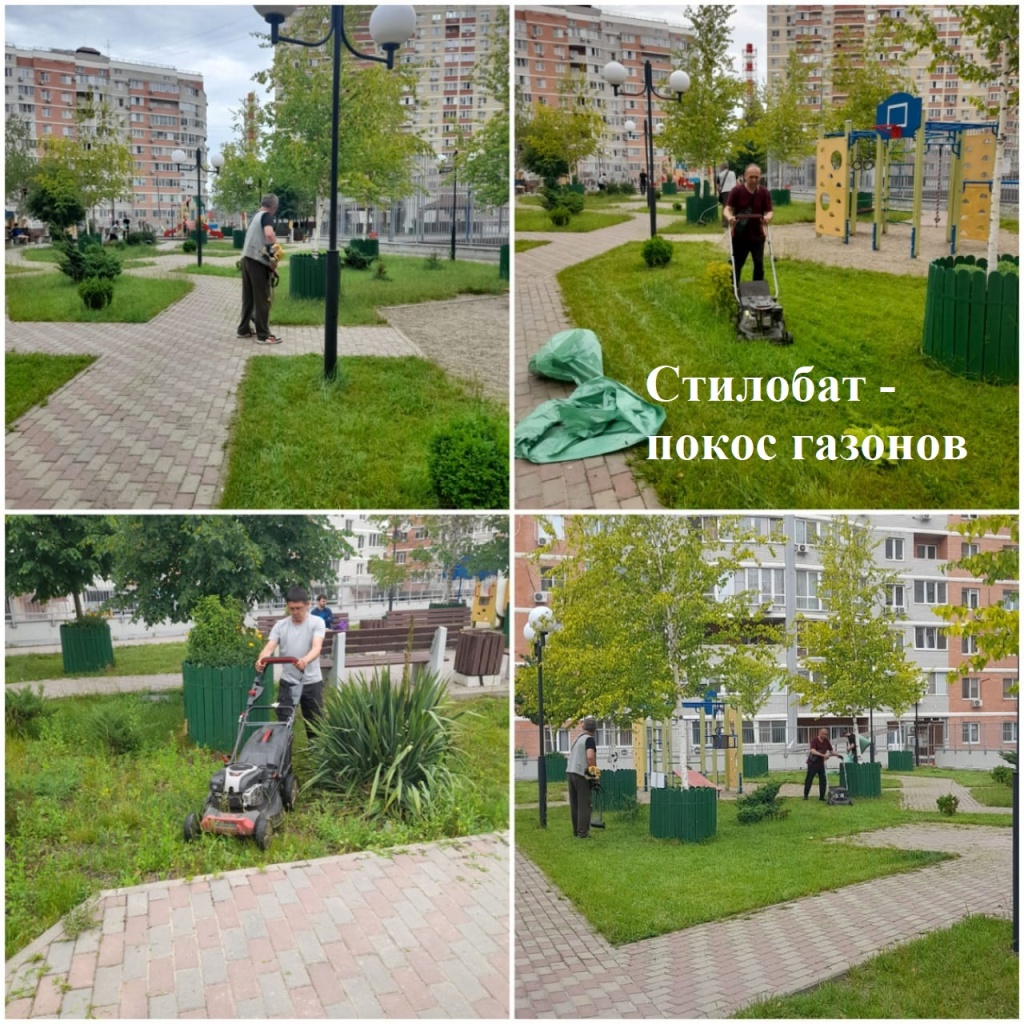 2025.05.27 - стилобат - покос газонов.jpeg 2025.05.27 - стилобат - покос газонов.jpeg
