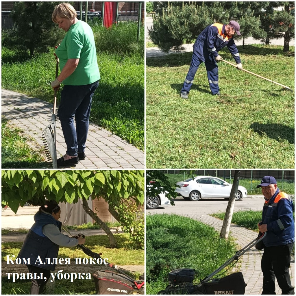 2025.05.14 - аллея покос травы, уборка.jpeg 2025.05.14 - аллея покос травы, уборка.jpeg