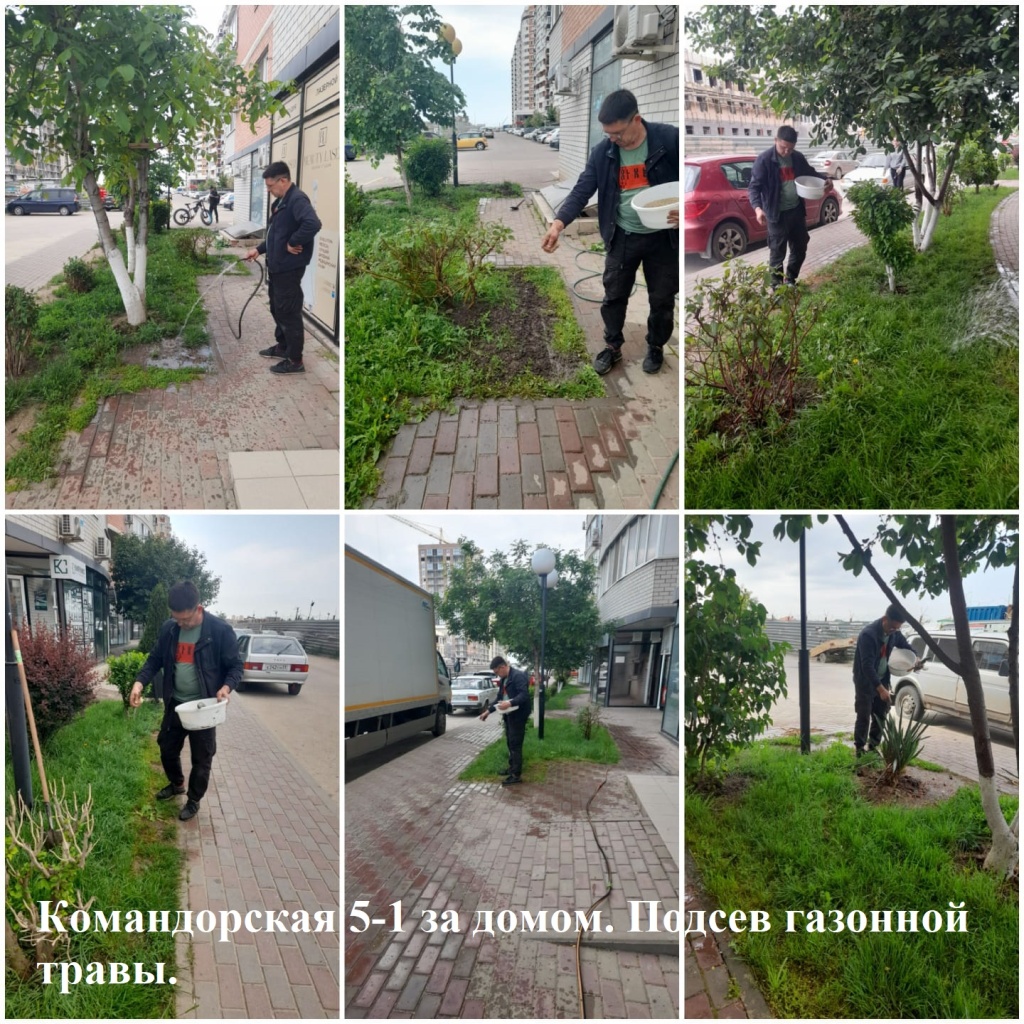 Командорская 5-1 за домом. Подсев газонной травы..jpeg Командорская 5-1 за домом. Подсев газонной травы..jpeg