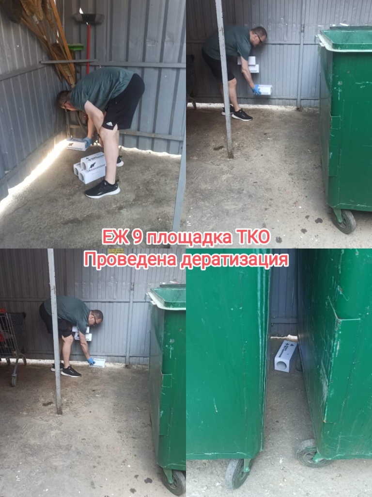 100625_ЕЖ9_дератизация.jpg 100625_ЕЖ9_дератизация.jpg
