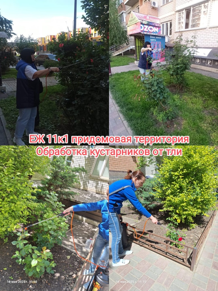 160525_ЕЖ11-1_придомовая.jpg 160525_ЕЖ11-1_придомовая.jpg