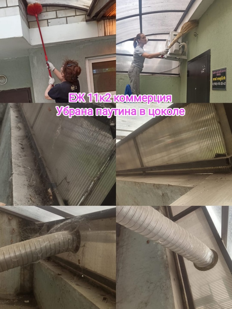 240625_ЕЖ11-2_Комм_уборка паутины в цоколе.jpg 240625_ЕЖ11-2_Комм_уборка паутины в цоколе.jpg