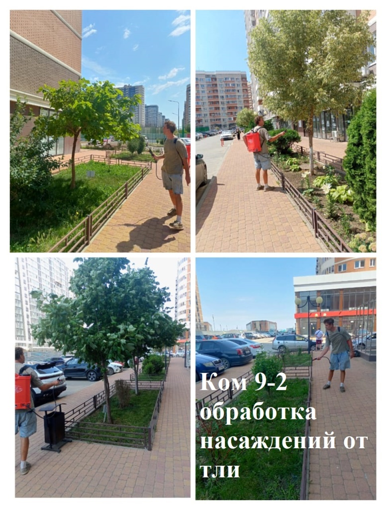 2025.06.25 - 9-2 обработка насаждений от тли.jpeg 2025.06.25 - 9-2 обработка насаждений от тли.jpeg