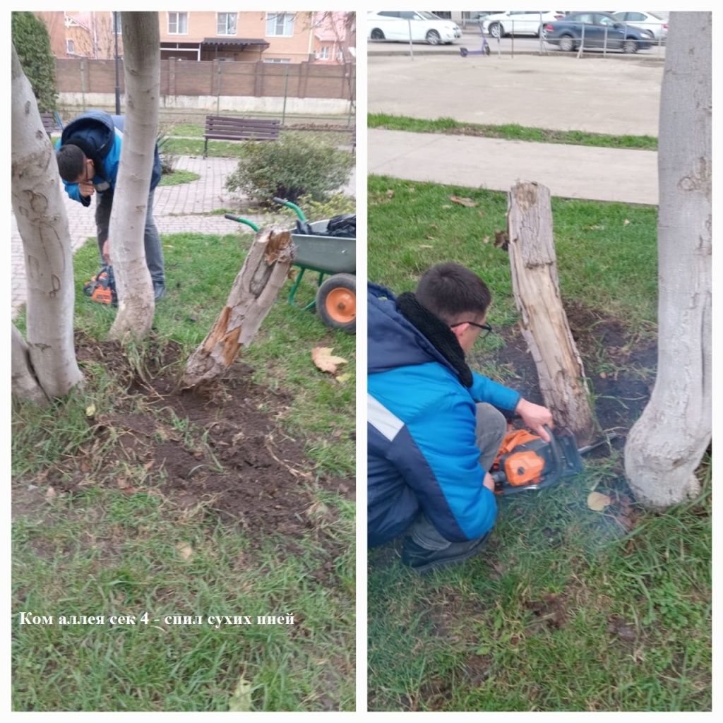 2025.12.04 - аллея сек.4 - спил сухих пней.jpeg 2025.12.04 - аллея сек.4 - спил сухих пней.jpeg