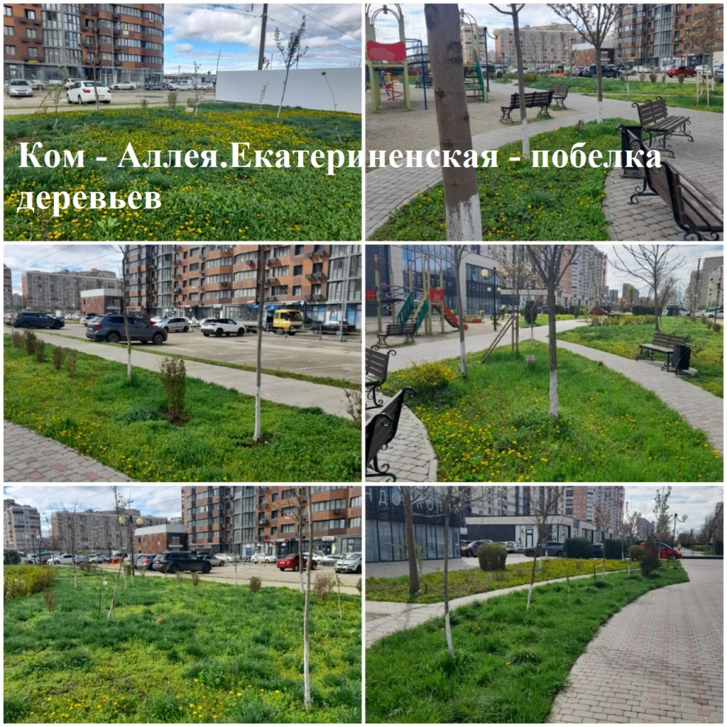 2025.04.03 - Аллея.Екатериненская - побелка деревьев.jpeg 2025.04.03 - Аллея.Екатериненская - побелка деревьев.jpeg
