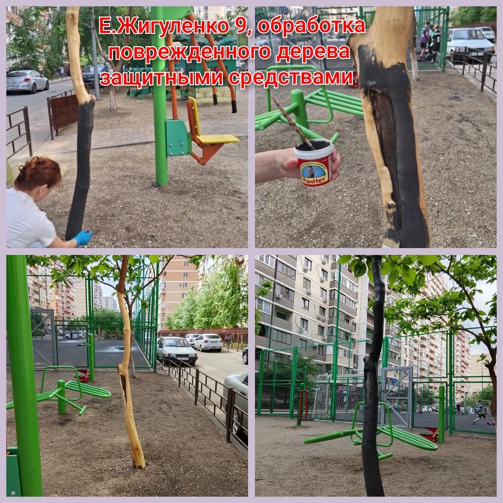 IMG_20260522_134737.png IMG_20260522_134737.png