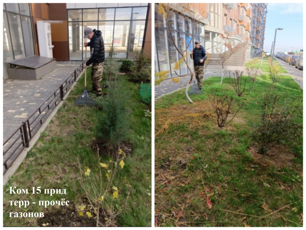 2025.11.19 - 15 пт - прочёс газонов.jpeg 2025.11.19 - 15 пт - прочёс газонов.jpeg