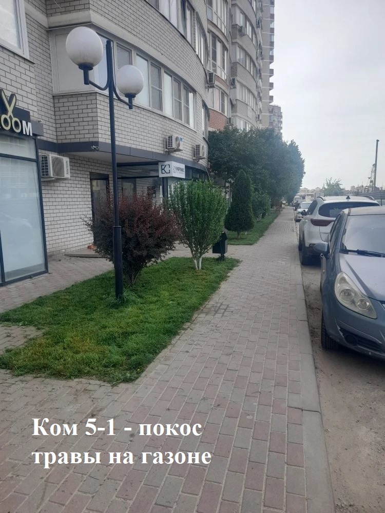 5-1.jpg 5-1.jpg