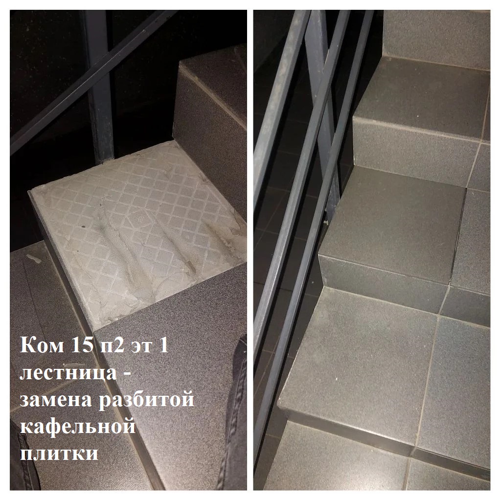 2025.11.24 - 15 п2 эт 1 лестница - замена разбитой кафельной плитки.jpeg 2025.11.24 - 15 п2 эт 1 лестница - замена разбитой кафельной плитки.jpeg