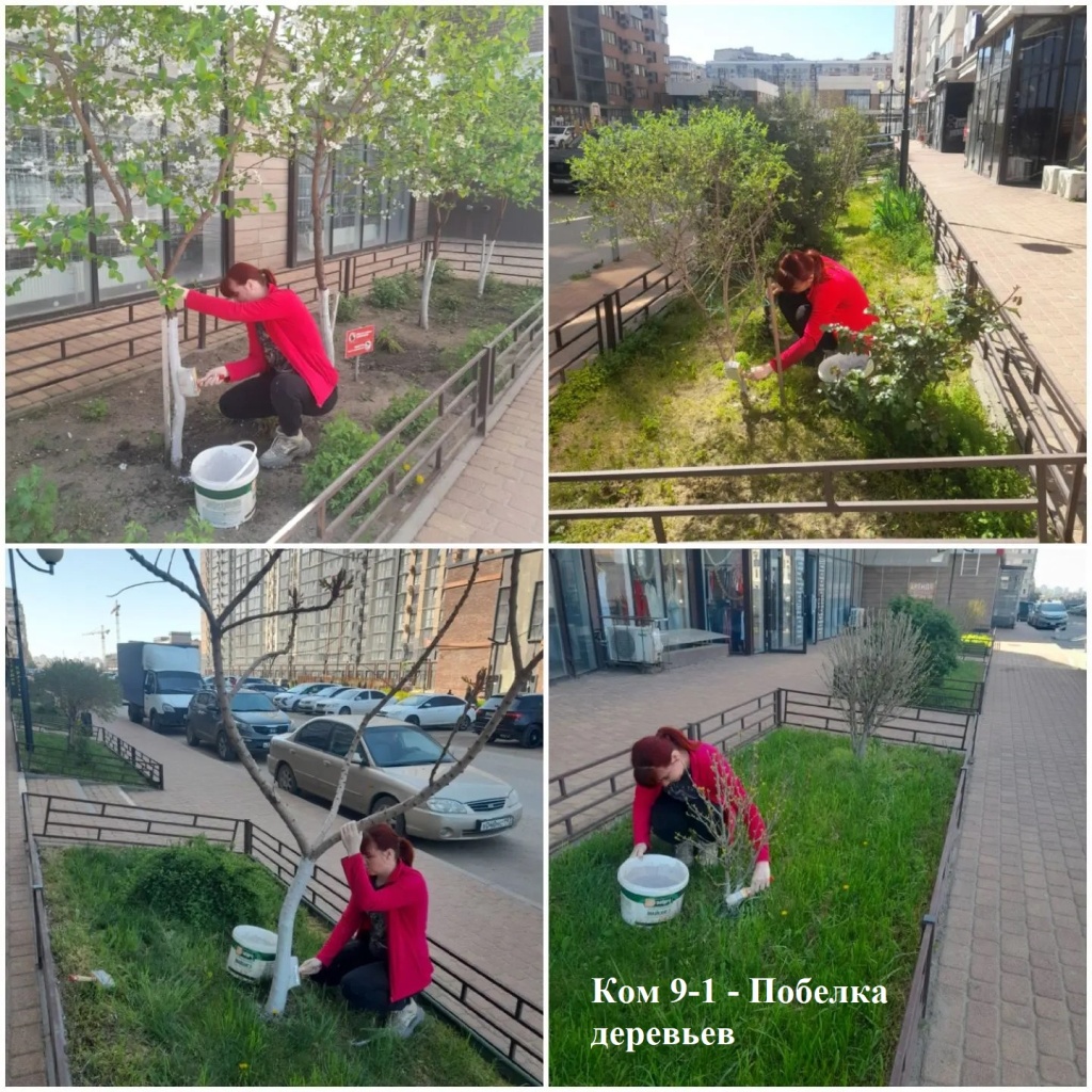 2026.04.17 - 9-1 - Побелка деревьев.jpg 2026.04.17 - 9-1 - Побелка деревьев.jpg