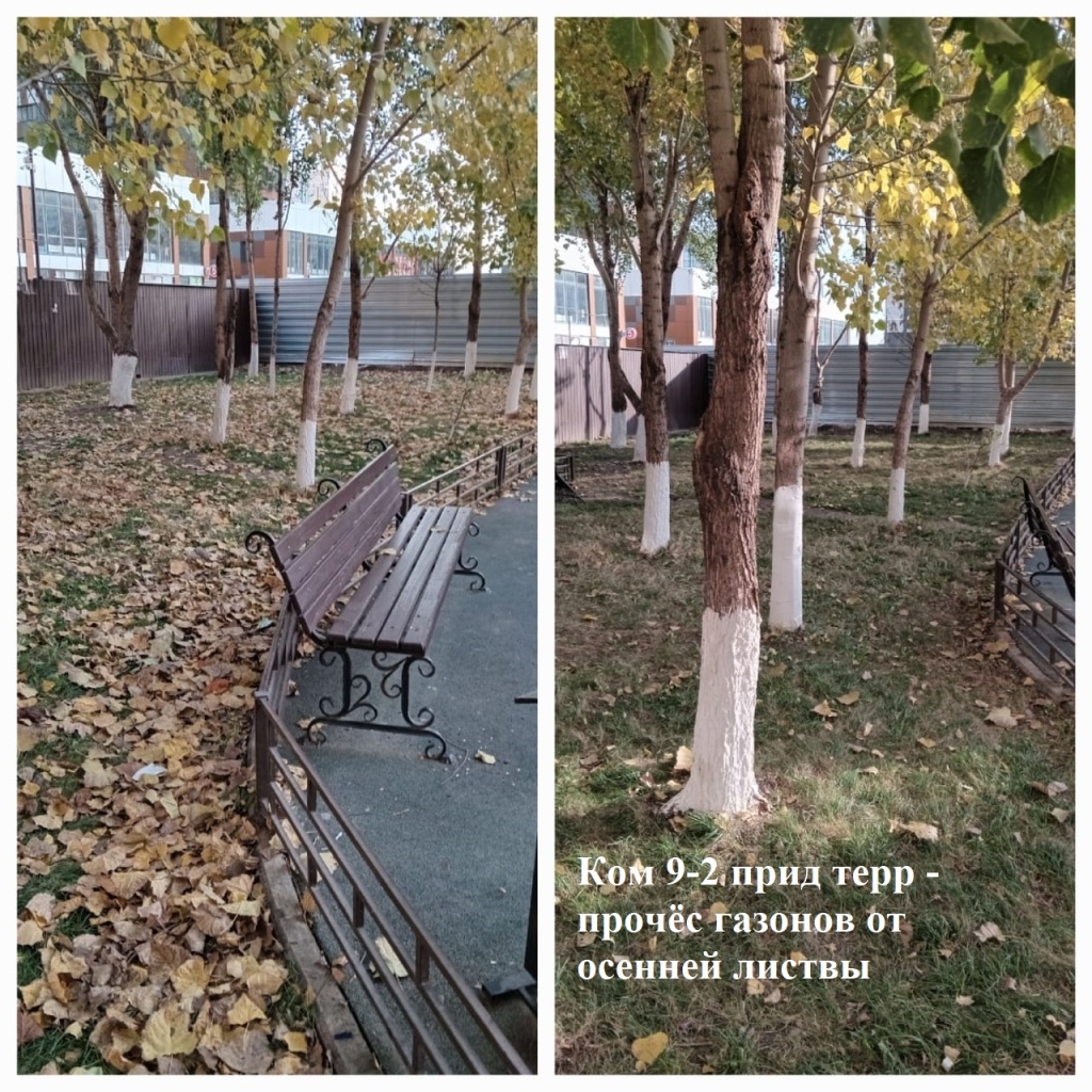 2025.11.19 - 9-2 пт - прочёс газонов от осенней листвы (1).jpeg