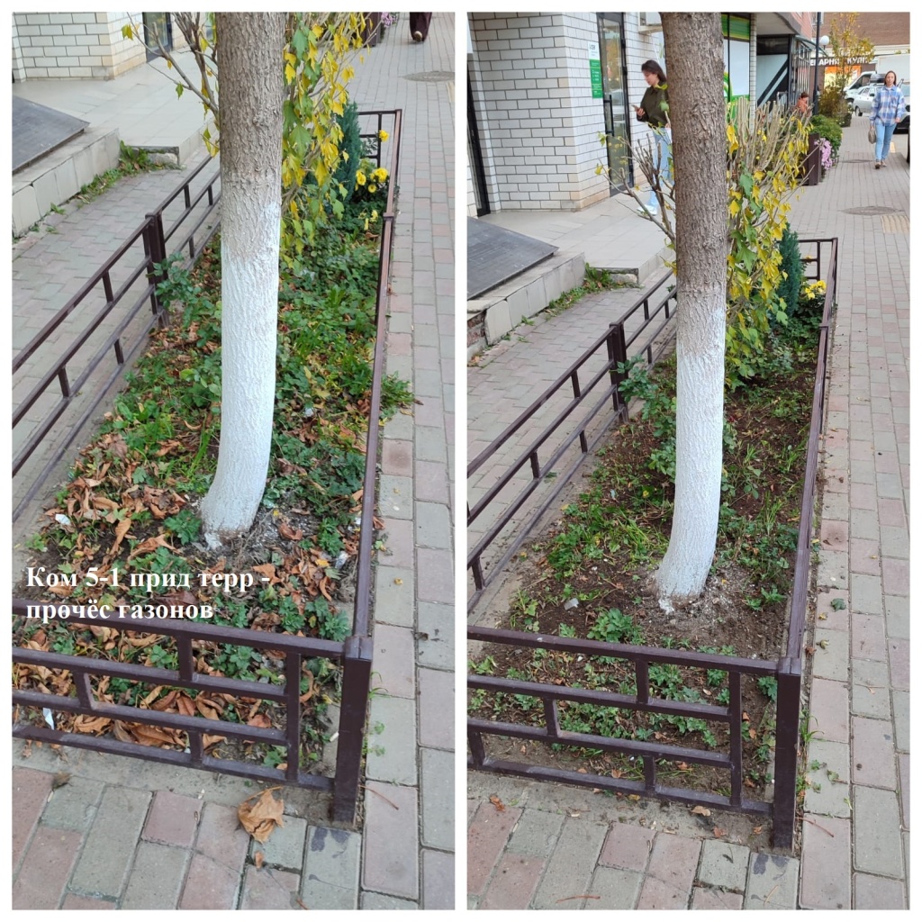 2025.11.19 - 5-1 пт - прочёс газонов.jpeg 2025.11.19 - 5-1 пт - прочёс газонов.jpeg