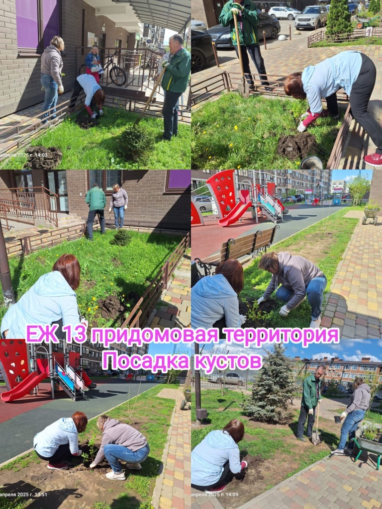 070425_ЕЖ13_посадка кустов.jpg 070425_ЕЖ13_посадка кустов.jpg