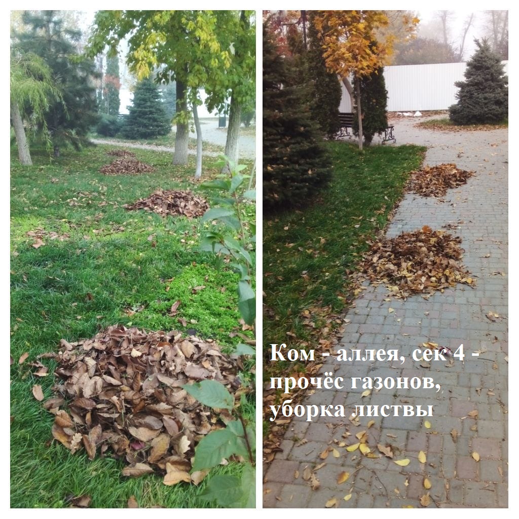 2025.11.06 - аллея, сек 4 - прочёс газонов, уборка листвы.jpeg 2025.11.06 - аллея, сек 4 - прочёс газонов, уборка листвы.jpeg