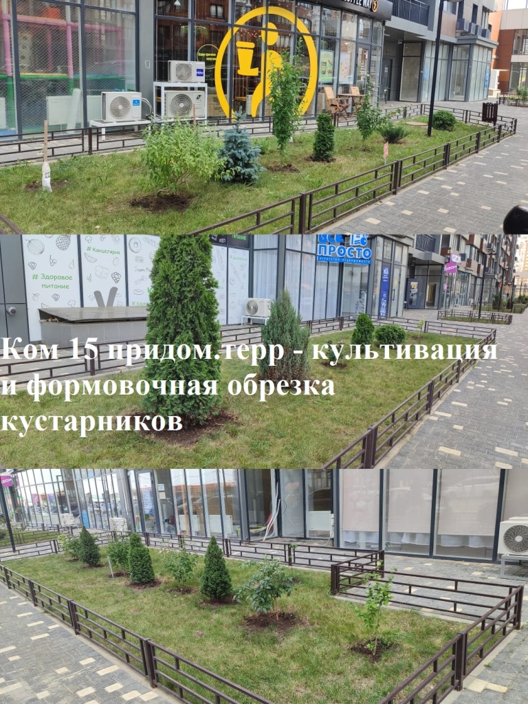 2025.07.11 - 15 придом.терр - культивация и формовочная обрезка кустарников.jpeg 2025.07.11 - 15 придом.терр - культивация и формовочная обрезка кустарников.jpeg