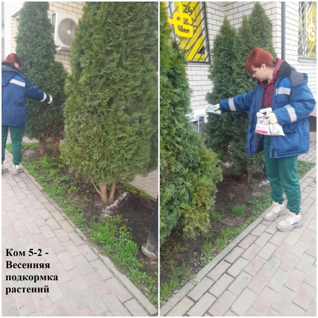 2026.04.02 - 5-2 - Весенняя подкормка растений.jpeg 2026.04.02 - 5-2 - Весенняя подкормка растений.jpeg