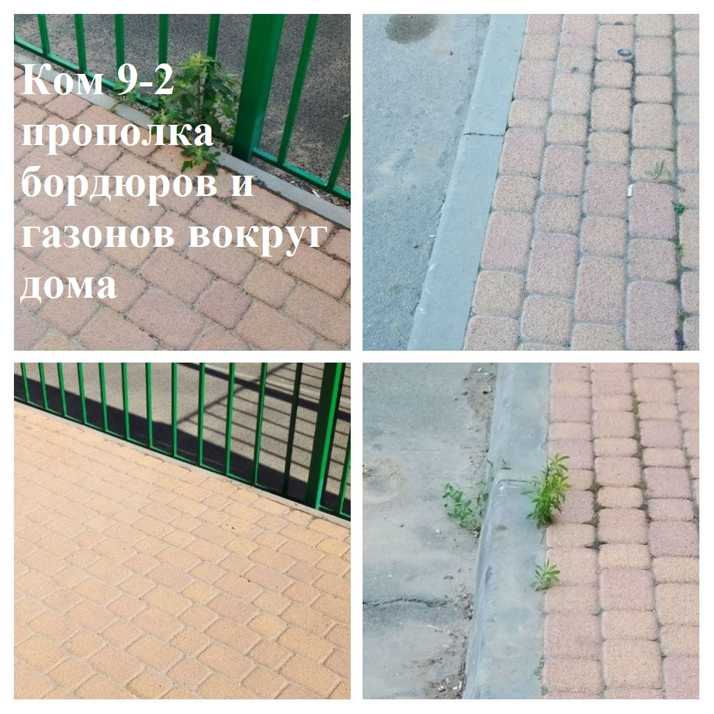 2025.07.01 - 9-2 прополка бордюров и газонов вокруг дома.jpeg 2025.07.01 - 9-2 прополка бордюров и газонов вокруг дома.jpeg