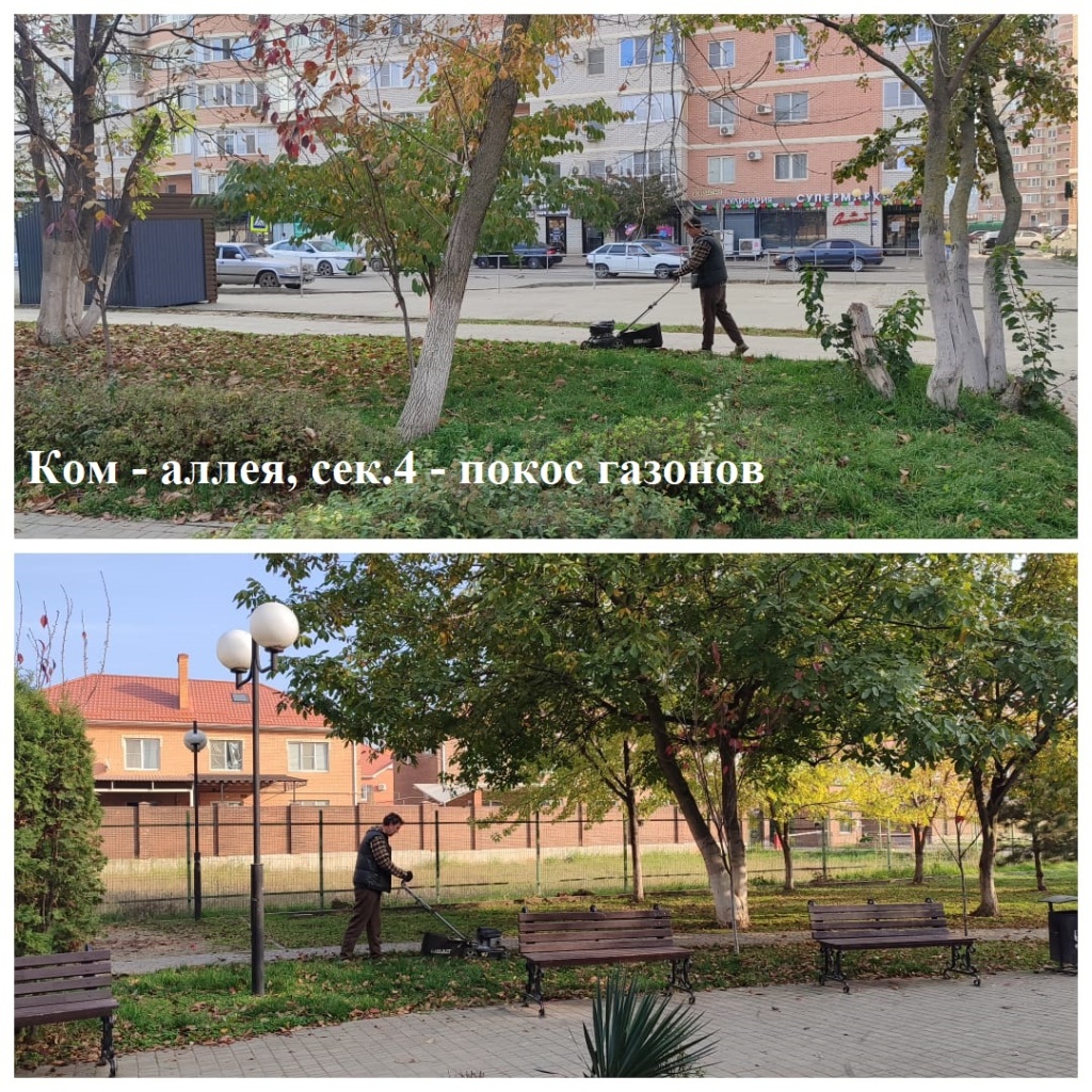 2025.11.05 - аллея, сек.4 - покос газонов.jpeg 2025.11.05 - аллея, сек.4 - покос газонов.jpeg