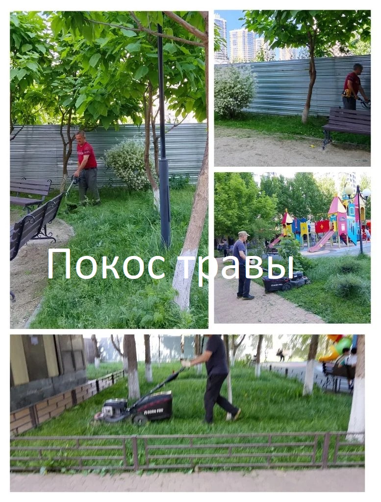 2026.06.05 - покос пт.jpg 2026.06.05 - покос пт.jpg