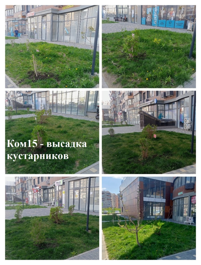 070425_Ком15_высадка кустарников.jpg 070425_Ком15_высадка кустарников.jpg