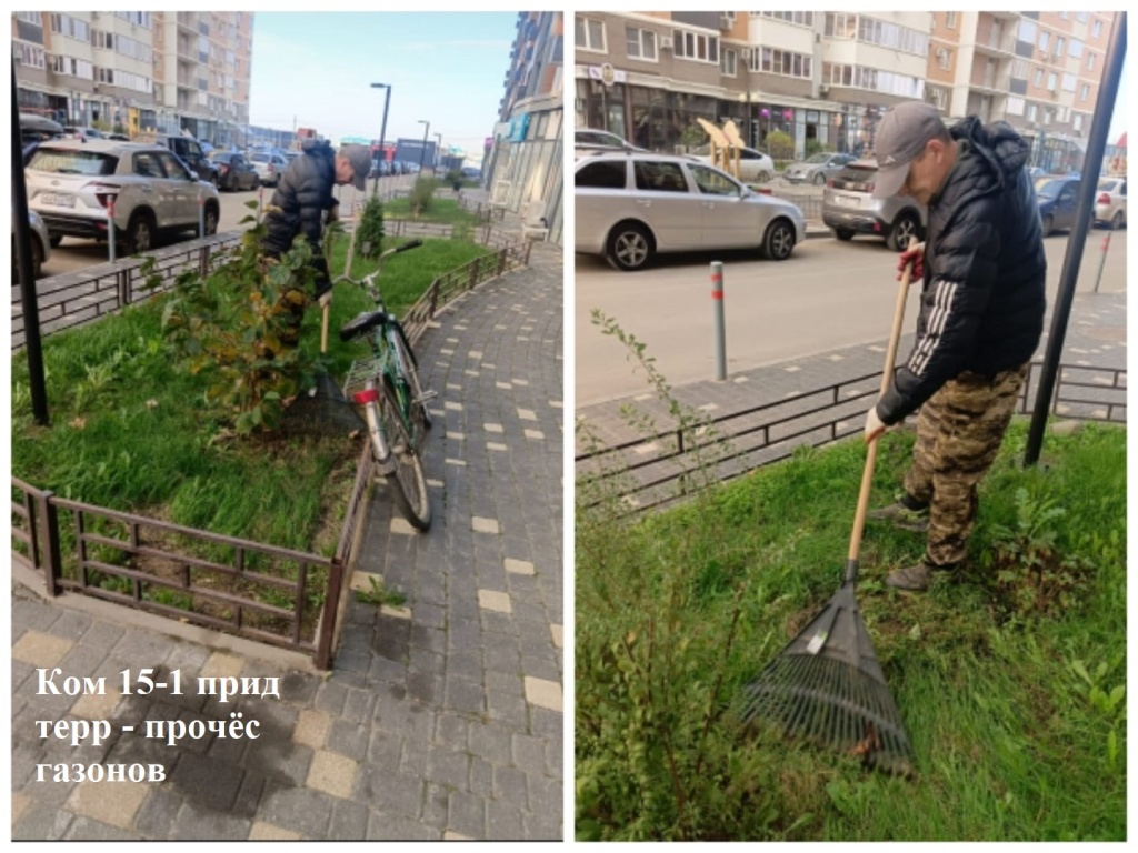 2025.11.19 - 15-1 пт - прочёс газонов.jpeg 2025.11.19 - 15-1 пт - прочёс газонов.jpeg