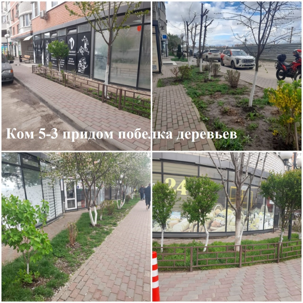 2025.04.02 - 5-3 придом побелка деревьев,.jpeg 2025.04.02 - 5-3 придом побелка деревьев,.jpeg