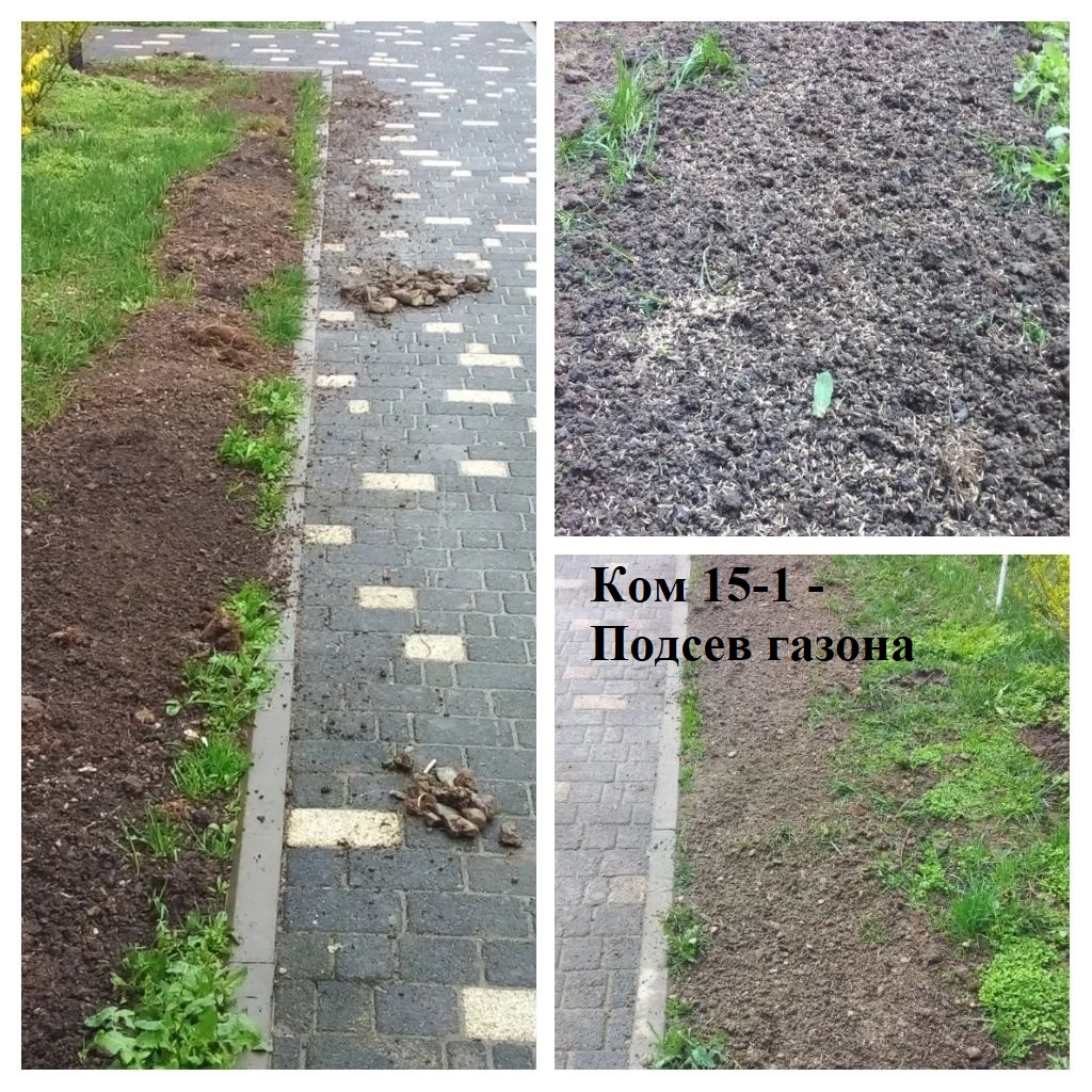 2026.03.27 - 15-1 - Подсев газона.jpeg 2026.03.27 - 15-1 - Подсев газона.jpeg