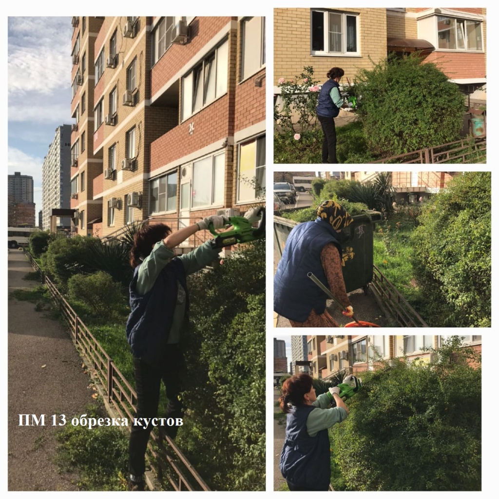 181125_ПМ 13 обрезка кустов.jpeg 181125_ПМ 13 обрезка кустов.jpeg