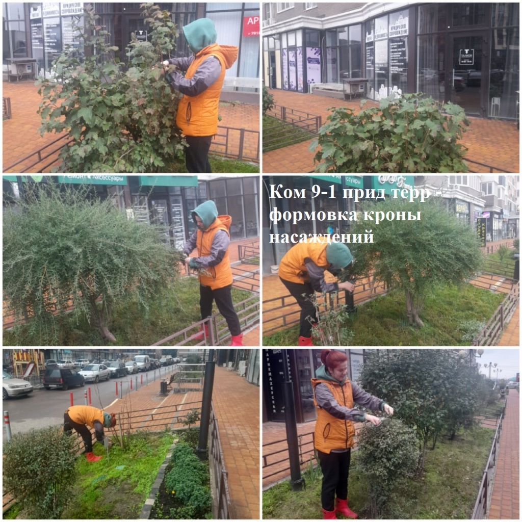 2025.10.23 - 9-1 пт - формовка кроны насаждений.jpeg 2025.10.23 - 9-1 пт - формовка кроны насаждений.jpeg