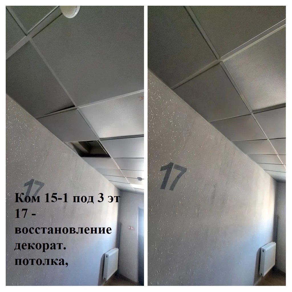 2026.03.16 - 15-1 под 3 эт 17 - воссатновление декорат. потолка,.jpeg 2026.03.16 - 15-1 под 3 эт 17 - воссатновление декорат. потолка,.jpeg
