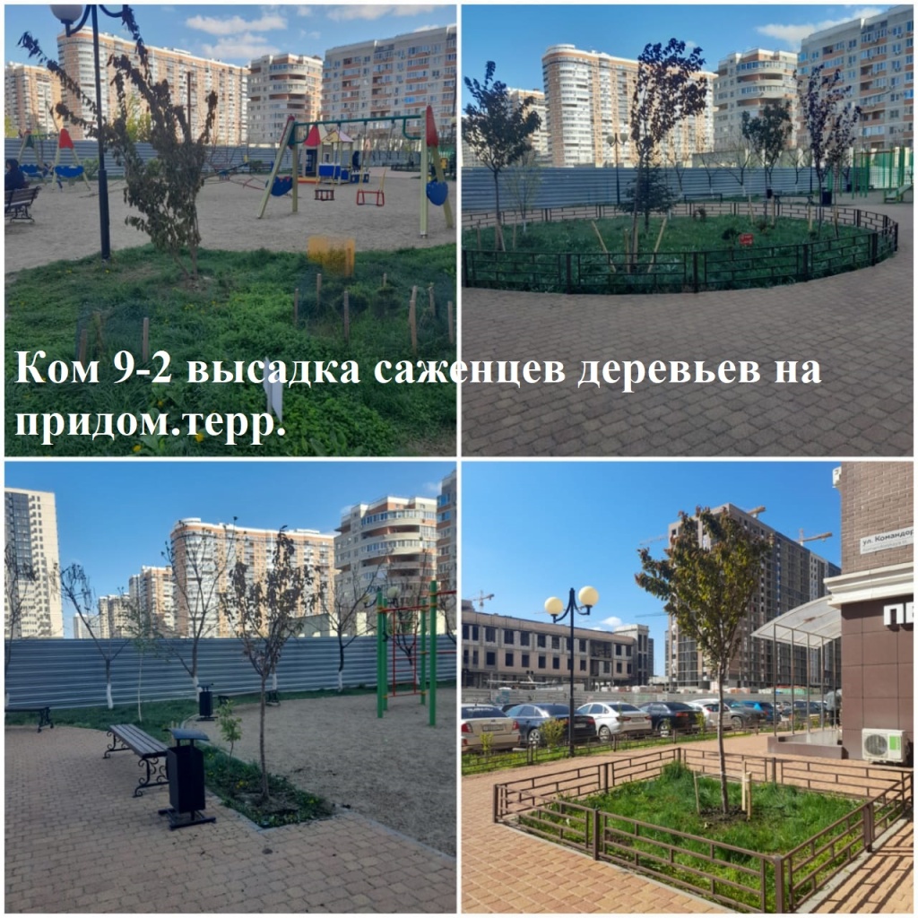 2025.04.16 - 9-2 высадка саженцев деревьев на придом.терр..jpeg 2025.04.16 - 9-2 высадка саженцев деревьев на придом.терр..jpeg
