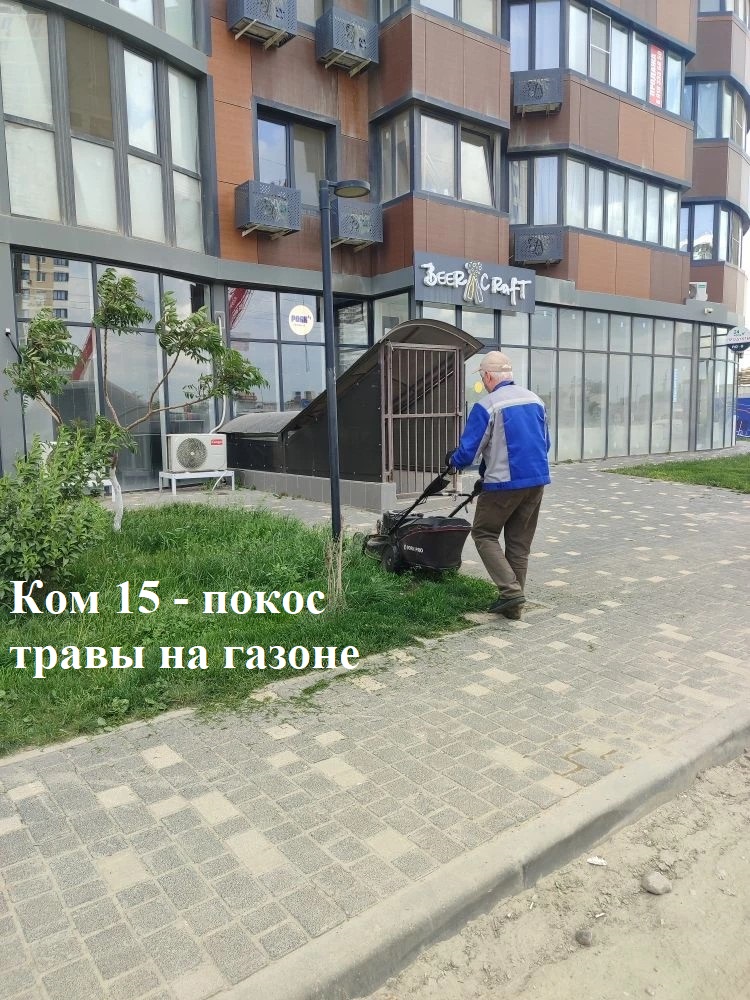 15.jpg 15.jpg