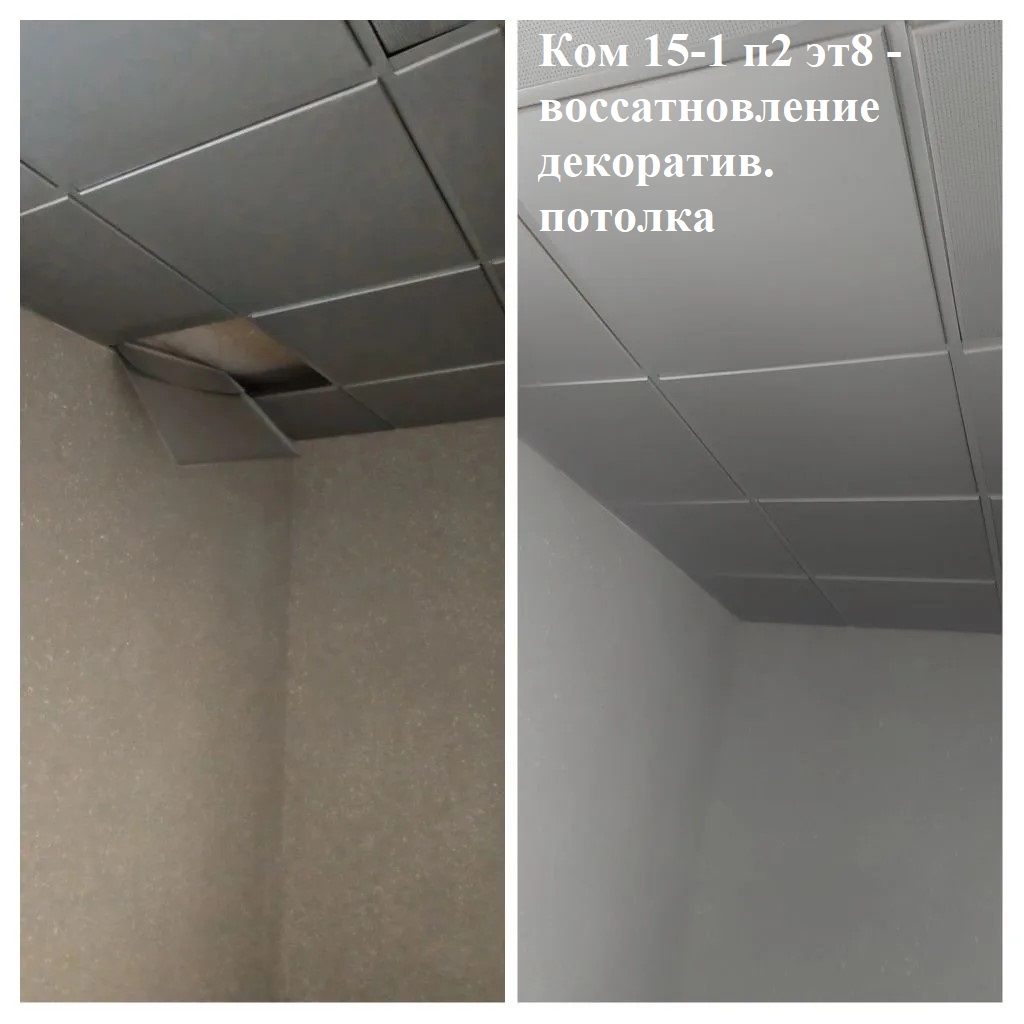 2026.05.19 - 15-1 п2 эт8 - воссатновление декоратив. потолка.jpg 2026.05.19 - 15-1 п2 эт8 - воссатновление декоратив. потолка.jpg