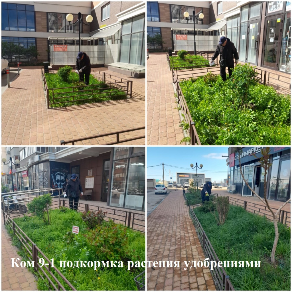 2025.04.11 - 9-1 подкормка растения удобрениями.jpeg 2025.04.11 - 9-1 подкормка растения удобрениями.jpeg