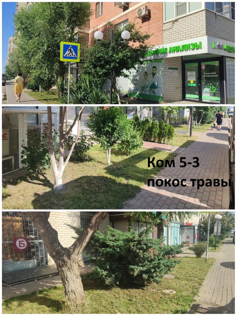 5-3 покос.jpg 5-3 покос.jpg