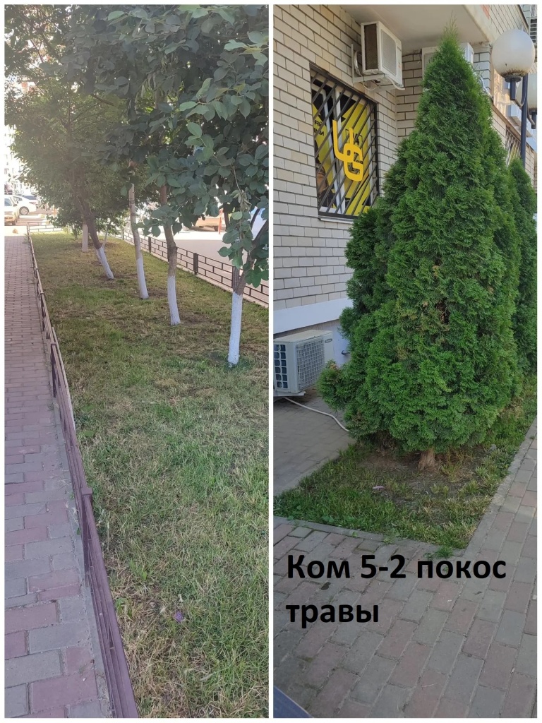 5-2 покос.jpg 5-2 покос.jpg