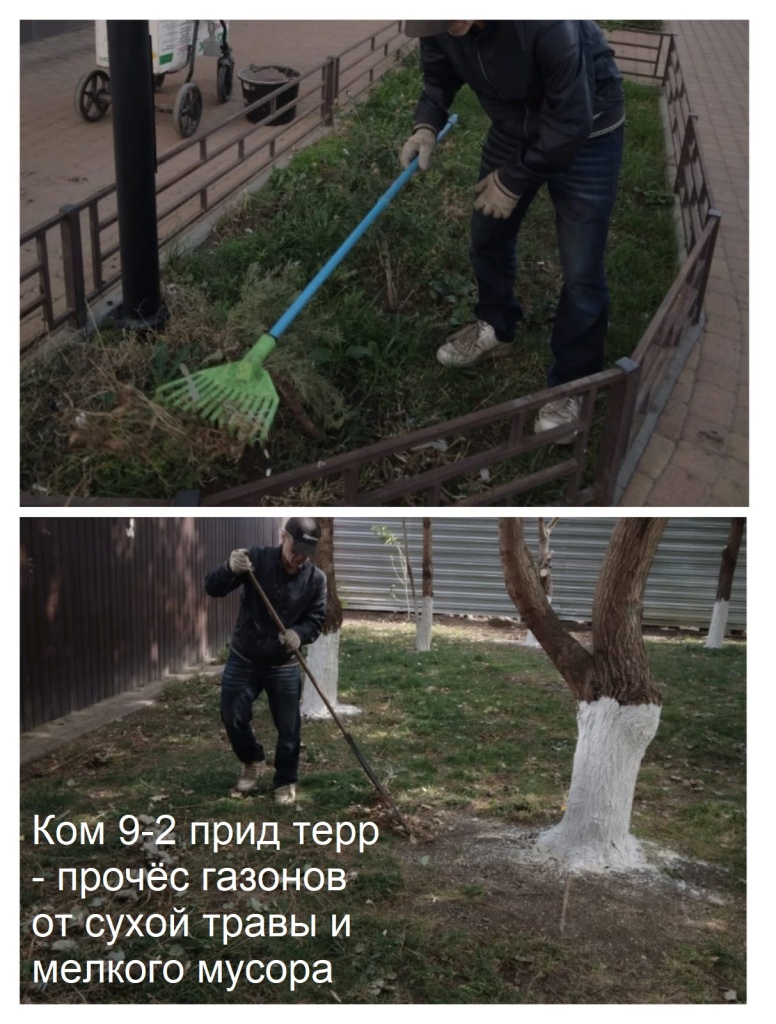 2025.10.08 - 9-2 пт - прочёс газонов от сухой травы и мелкого мусора.jpeg 2025.10.08 - 9-2 пт - прочёс газонов от сухой травы и мелкого мусора.jpeg