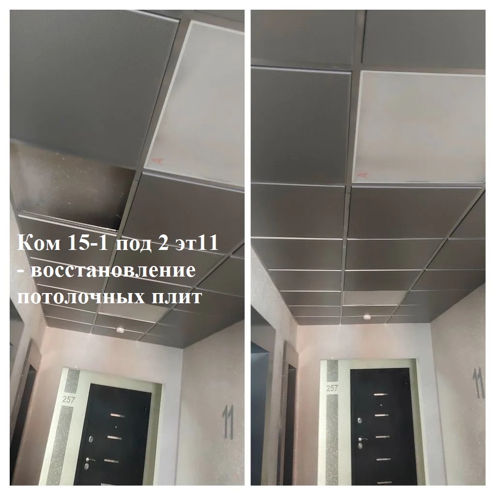 2026.05.27 - 15-1 под 2 эт11 - воссатновление потолочных плит.jpg 2026.05.27 - 15-1 под 2 эт11 - воссатновление потолочных плит.jpg