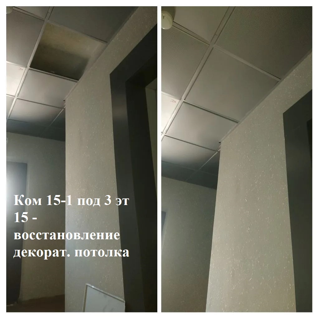 2026.03.16 - 15-1 под 3 эт 15 - воссатновление декорат. потолка.jpeg 2026.03.16 - 15-1 под 3 эт 15 - воссатновление декорат. потолка.jpeg