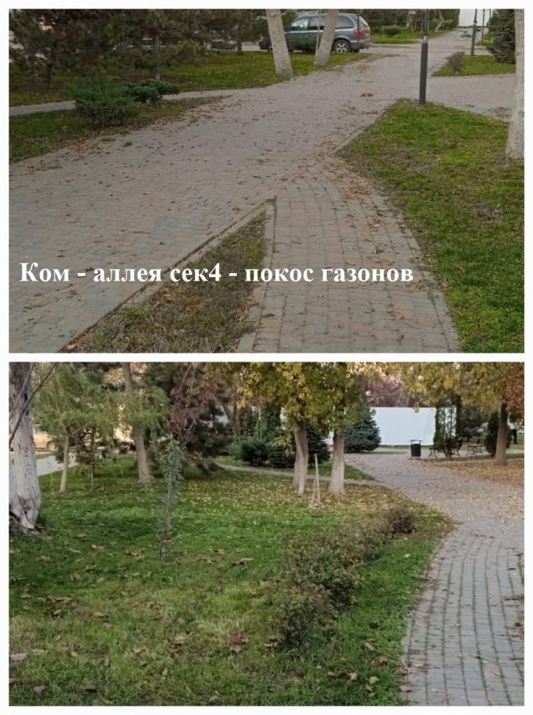 2025.11.07 - аллея сек4 - покос газонов.jpeg 2025.11.07 - аллея сек4 - покос газонов.jpeg