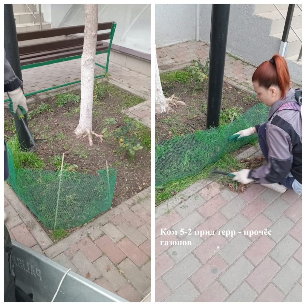 2025.11.20 - 5-2 пт - прочёс газонов.jpeg 2025.11.20 - 5-2 пт - прочёс газонов.jpeg
