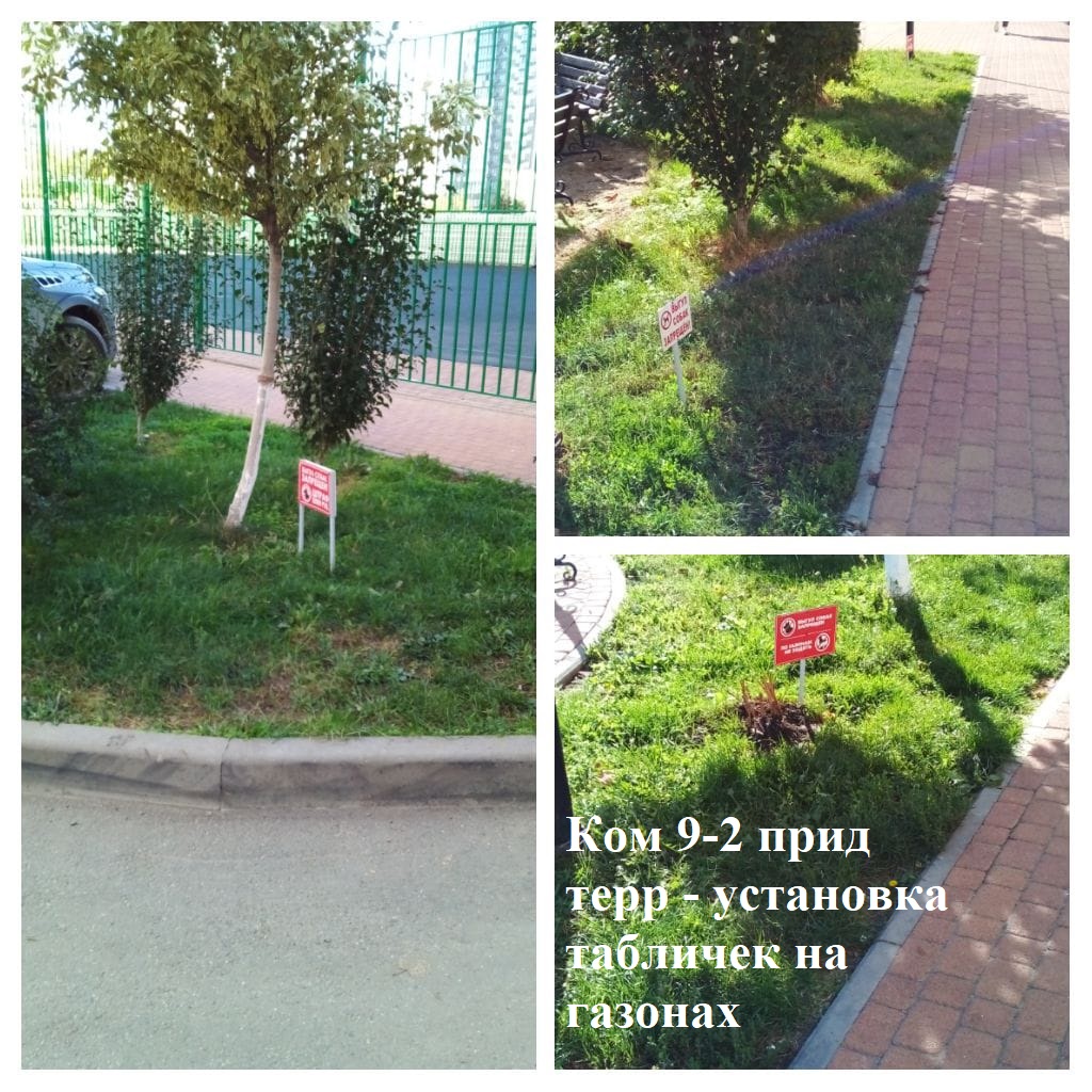 2025.10.17 - 9-2 пт - установка табличек на газонах.jpeg 2025.10.17 - 9-2 пт - установка табличек на газонах.jpeg