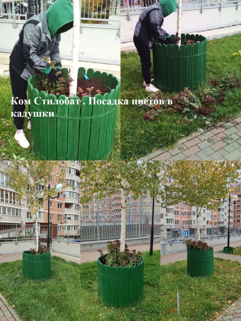 2025.10.27 - Стилобат . Посадка цветов в кадушки.jpeg 2025.10.27 - Стилобат . Посадка цветов в кадушки.jpeg